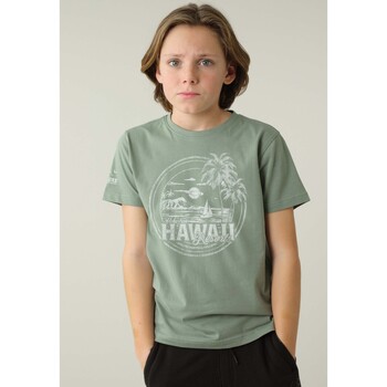 Vêtements Garçon T-shirts WOMEN & Polos Deeluxe T-Shirt MAHALO Vert