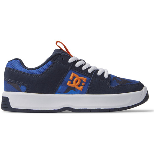 Chaussures Garçon Chaussures de Skate DC Shoes Skechers Lynx Zero Bleu