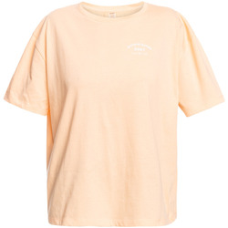 Vêtements Femme Débardeurs / T-shirts sans manche Roxy Essential Energy Orange