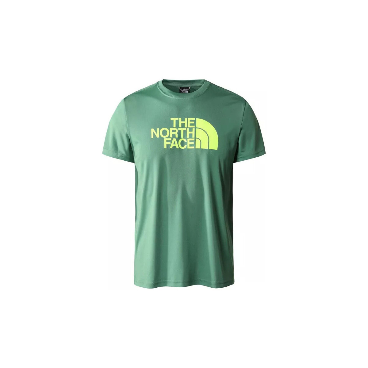 Vêtements Homme T-shirts & Polos The North Face M REAXION EASY Vert