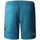 Vêtements Homme Shorts / Bermudas The North Face Short  MA FLEECE Bleu