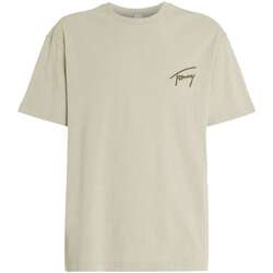 Vêtements Homme T-shirts manches courtes Tommy Jeans 163311VTPE24 Vert