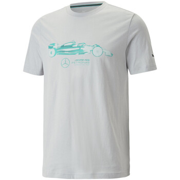 Vêtements Homme T-shirts White courtes Puma 538484-02 Gris