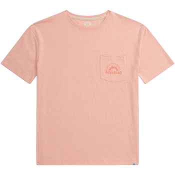 Vêtements Femme T-shirts manches longues Mountain Warehouse Elena Rouge