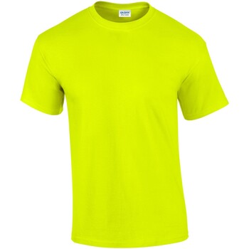 Vêtements Homme T-shirts manches longues Gildan GD02 Vert