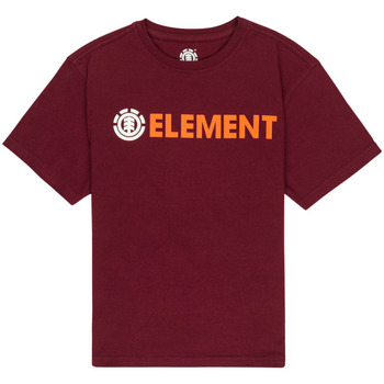 Vêtements Garçon T-shirts & Polos Element Blazin Rouge