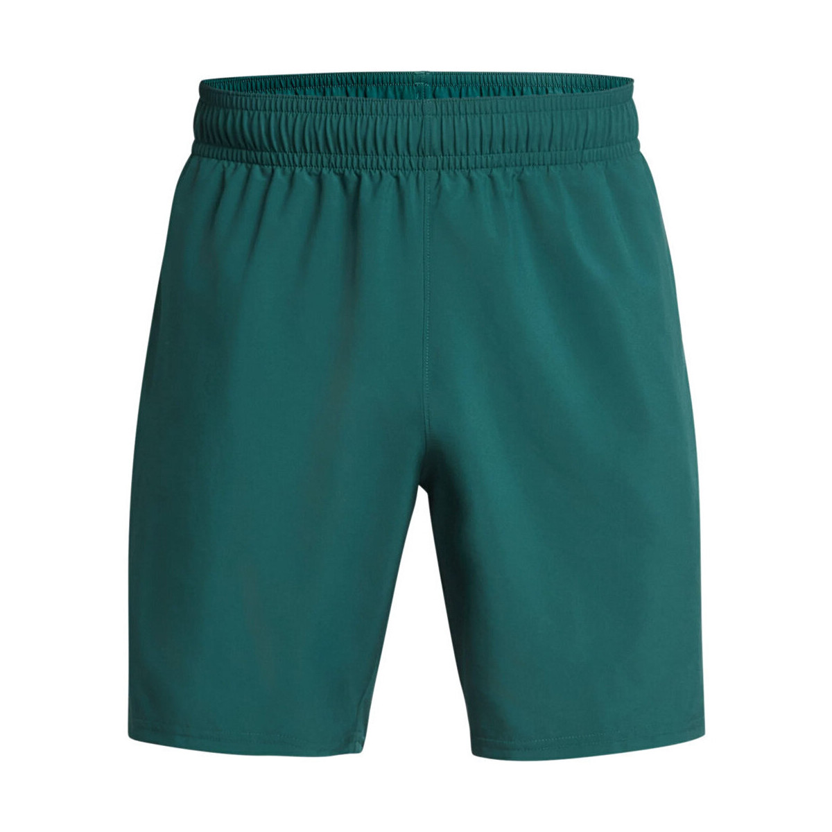 Vêtements Homme Shorts / Bermudas Under Armour UA Woven Wdmk Shorts Bleu