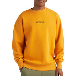 Vêtements Homme Sweats O'neill 2750048-17016 Orange