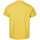 Vêtements Homme T-shirts & Polos O'neill 2850094-12020 Jaune