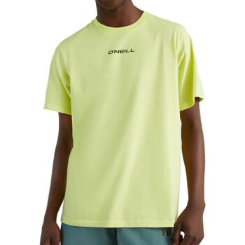 Vêtements Homme T-shirts manches courtes O'neill 2850105-12014 Vert