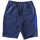 Vêtements Homme Shorts / Bermudas Sergio Tacchini SHORT FORESTA  BLEU MARINE ET BLEU Bleu