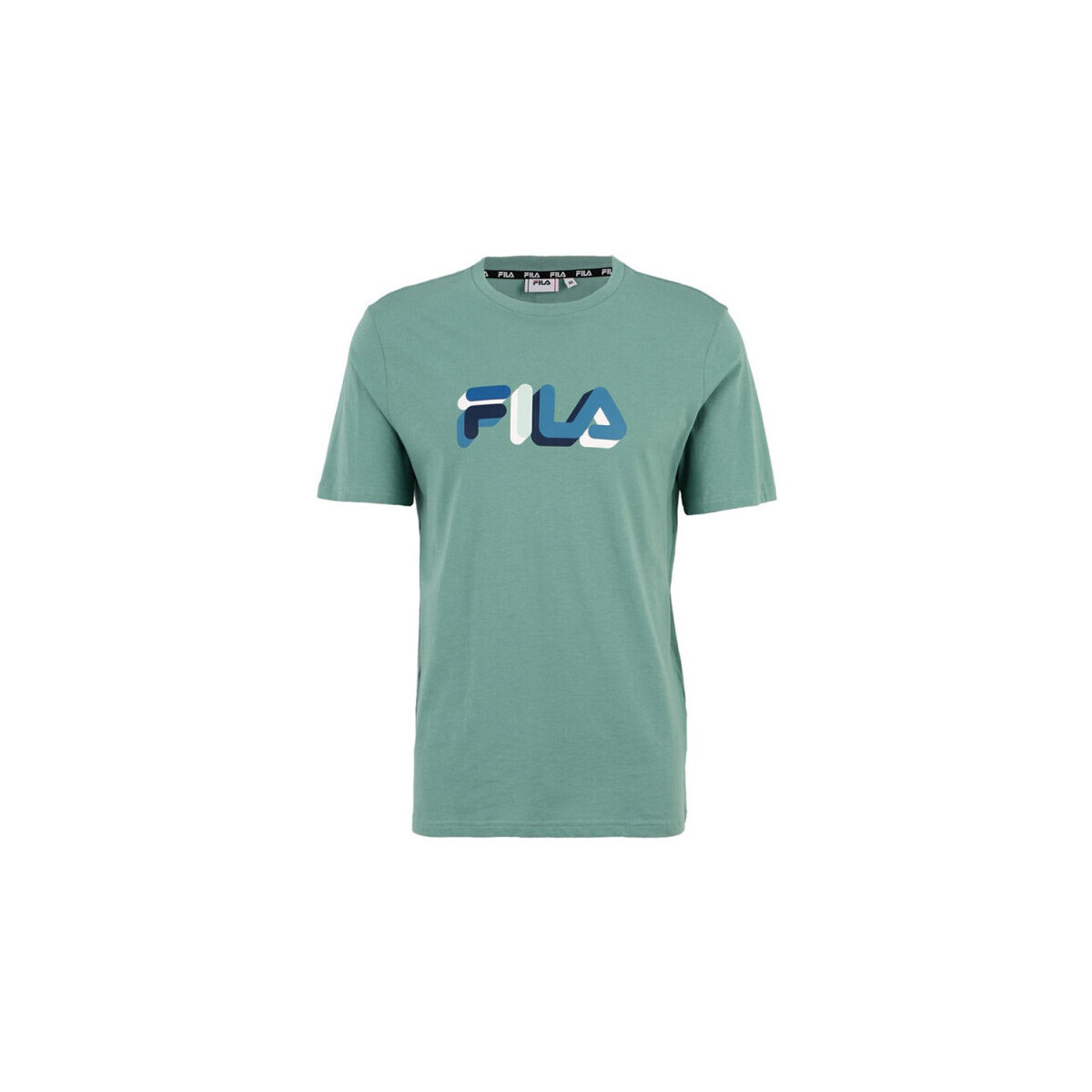Vêtements Homme T-shirts & Polos Fila T-SHIRT BLUNK REGULAR GRAPHIC  VERT Vert
