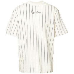 Vêtements Homme T-shirts & Polos Karl Kani T-SHIRT  SMALL SIGNATURE PINSTRIPE TEE BEIGE Beige