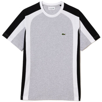 Vêtements Homme T-shirts & Polos Lacoste rond T-SHIRT REGULAR FIT GRIS TRICOLORE COLOR-BLOCK Gris