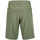 Vêtements Homme Shorts / Bermudas O'neill N2800012-16011 Vert