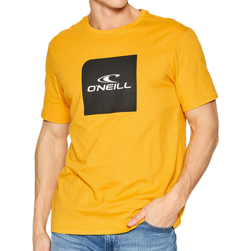 Vêtements Homme T-shirts chest manches courtes O'neill N2850007-12010 Jaune