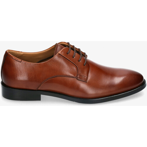 Chaussures Homme Bougeoirs / photophores Hobb's B4183A0407 HOBBS- 2 Marron