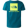 Vêtements Garçon T-shirts manches courtes The North Face NF0A87T5 Vert