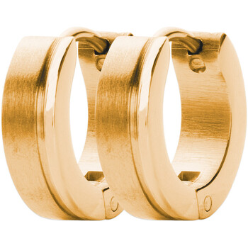 bijoux piercing brillaxis  anneaux d'oreilles  acier doré 