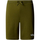 Vêtements Homme Shorts / Bermudas The North Face NF0A3S4F Vert