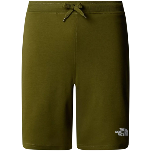 Vêtements Homme Shorts jeans / Bermudas The North Face NF0A3S4F Vert