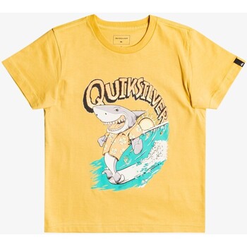 Vêtements Garçon Bons baisers de Quiksilver - T-shirt junior - jaune Autres