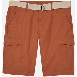 Vêtements Homme Shorts / Bermudas Oxbow Short popeline ceinture intégrée ORAGO Marron