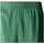 Vêtements Homme Shorts / Bermudas The North Face 24/7 SPORT Vert