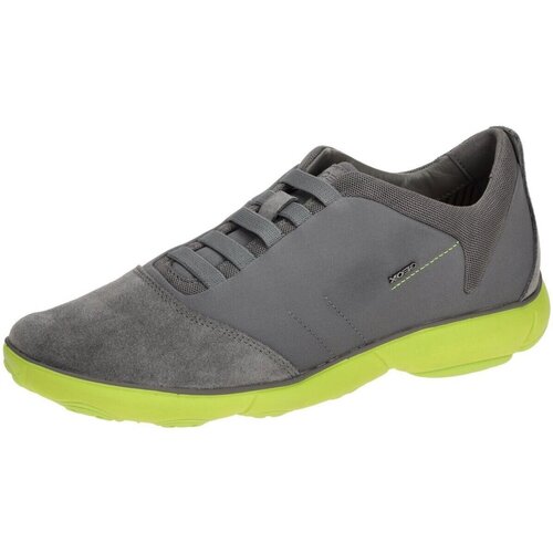 Chaussures Homme Mocassins Geox  Gris