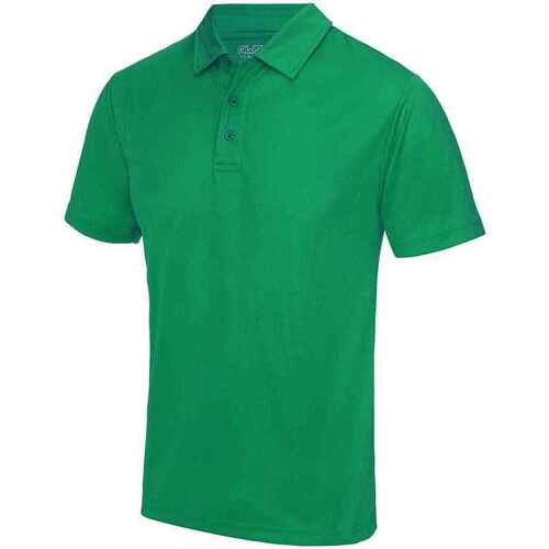 Vêtements Homme T-shirts & Polos Awdis Cool JC040 Vert