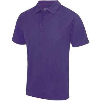 Vêtements Homme T-shirts & Polos Awdis Cool JC040 Violet