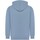 Vêtements Sweats Sf PC6538 Bleu