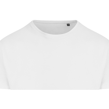 Vêtements Homme T-shirts manches longues Awdis Ecologie Ambaro Blanc