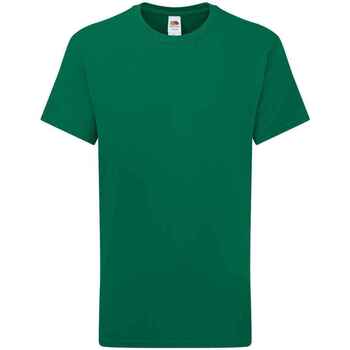Vêtements Enfant T-shirts manches courtes Fruit Of The Loom Iconic 195 Vert