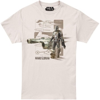 Vêtements Homme T-shirts manches longues Star Wars Mandalorian TV2953 Beige