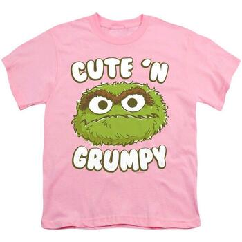 Vêtements Enfant T-shirts manches courtes Sesame Street Cute N Grumpy Violet