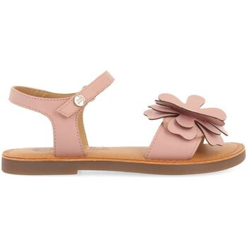 Chaussures Sandales et Nu-pieds Gioseppo CRES Rose