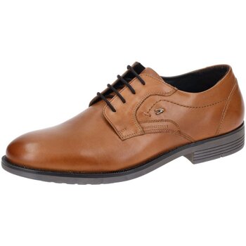 Chaussures Homme Rose is in the air Camel Active  Marron