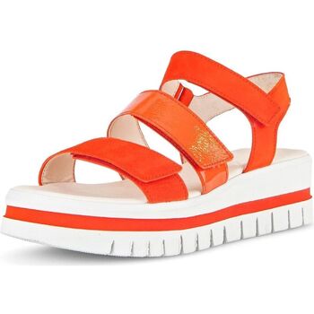 Chaussures Femme Sandales et Nu-pieds Gabor Sandales Orange