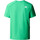Vêtements Homme T-shirts manches courtes The North Face NF0A87NJ Vert