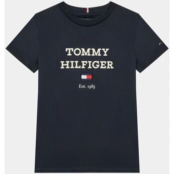 Vêtements Enfant Tommy Hilfiger Junior embroidered-logo T-shirt Tommy Hilfiger KB0KB08671 - TH LOGO-DW5 DESERT SKY Bleu