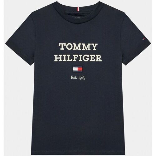 Vêtements Enfant Tommy Hilfiger Junior embroidered-logo T-shirt Tommy Hilfiger KB0KB08671 - TH LOGO-DW5 DESERT SKY Bleu