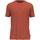 Vêtements Homme T-shirts manches courtes Napapijri Saliss ss sum org burnt Orange