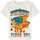 Vêtements Garçon T-shirts manches courtes Name it 164344VTPE24 Beige