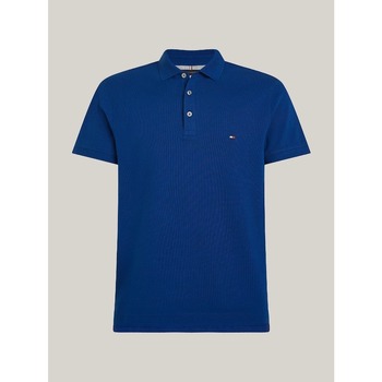 Vêtements Homme T-shirts & Polos Tommy Hilfiger MW0MW17770 Bleu