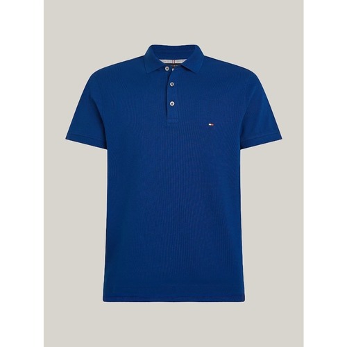Vêtements Homme T-shirts & Polos Tommy Hilfiger MW0MW17770 Bleu