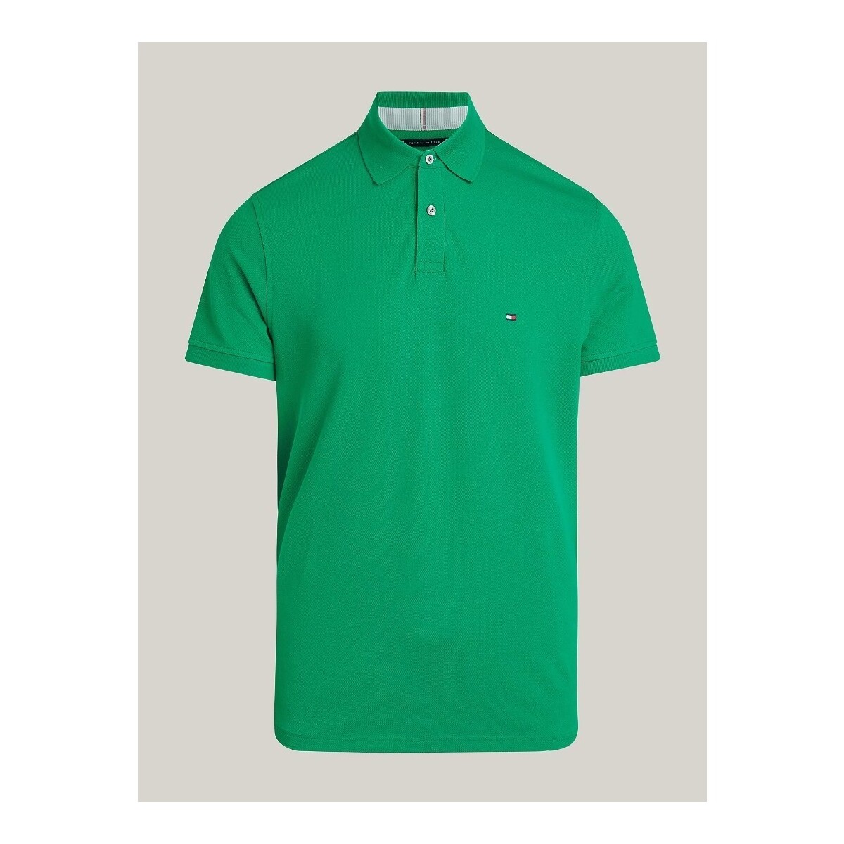 Vêtements Homme T-shirts & Polos Tommy Hilfiger MW0MW17770 Vert