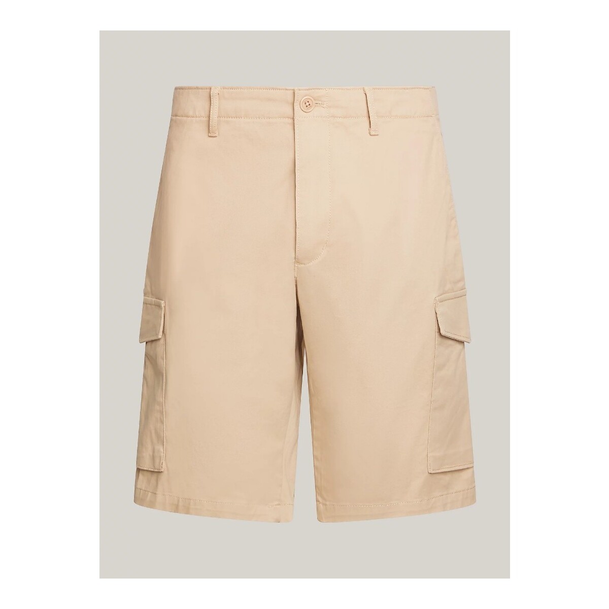 Vêtements Homme Shorts / Bermudas Tommy Hilfiger MW0MW23573 Kaki