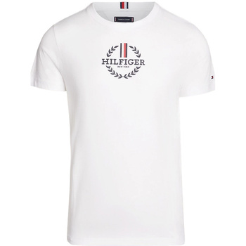 Vêtements Homme T-shirts & Polos Tommy Hilfiger MW0MW34388 Blanc