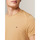 Vêtements Homme T-shirts & Polos Tommy Hilfiger MW0MW10800 Kaki
